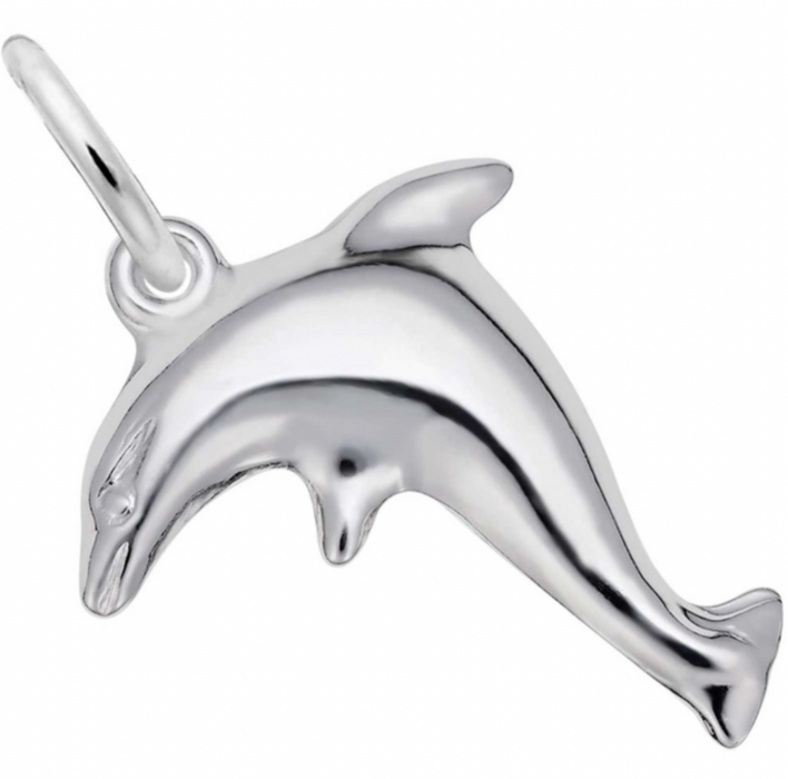 Rembrandt Sterling Silver Dolphin Charm