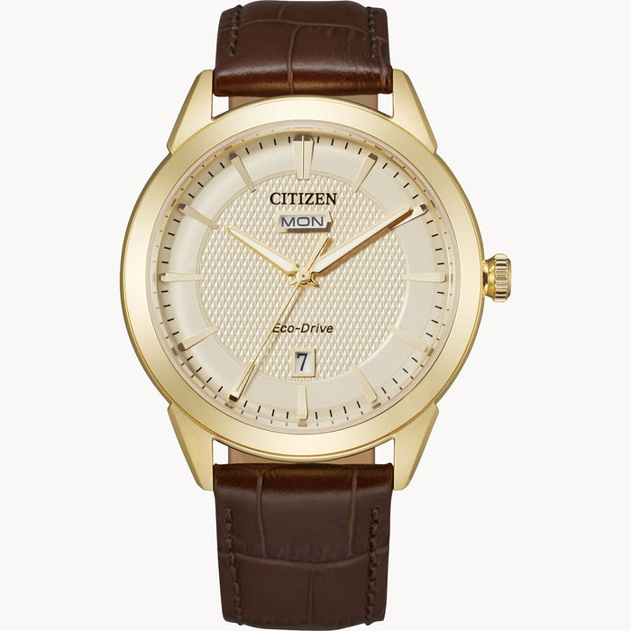 Citizen Eco-Drive Brown Leather Date/Day Watch